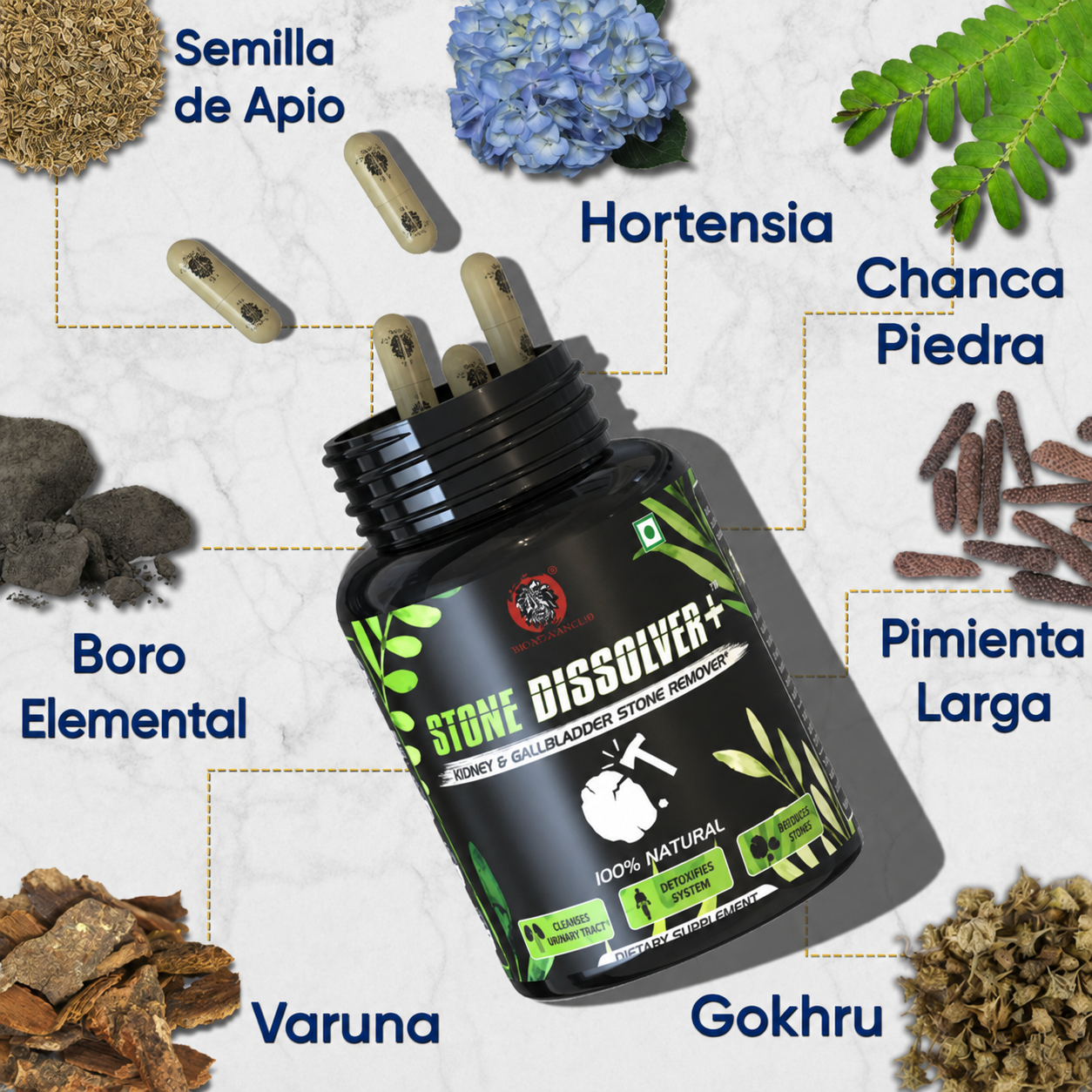 STONE DISSOLVER + formula herbal