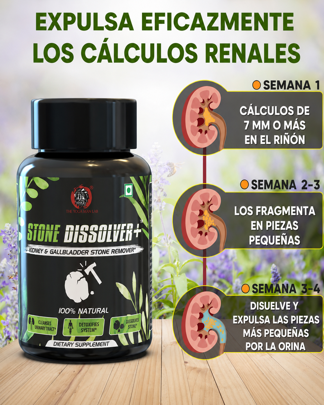 STONE DISSOLVER + Ruta Rompepiedras 2F